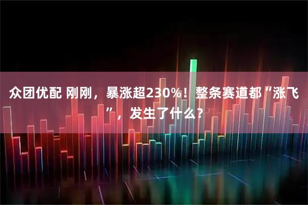 众团优配 刚刚，暴涨超230%！整条赛道都“涨飞”，发生了什么？