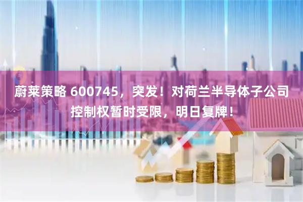 蔚莱策略 600745，突发！对荷兰半导体子公司控制权暂时受限，明日复牌！